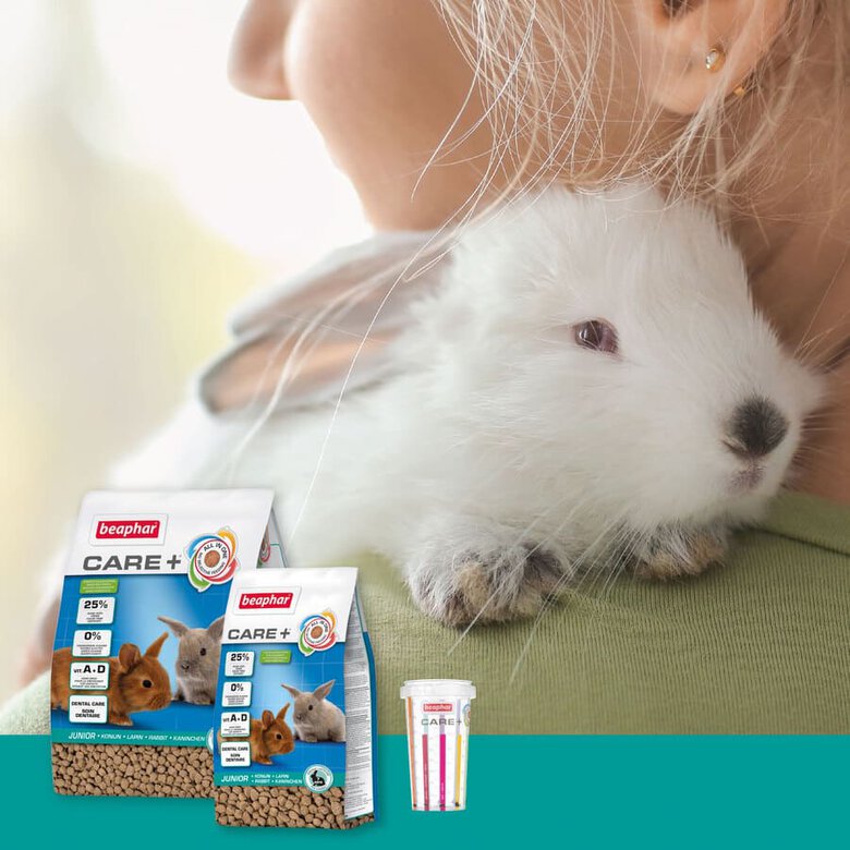 Beaphar Care + Junior Pienso para conejo junior, , large image number null